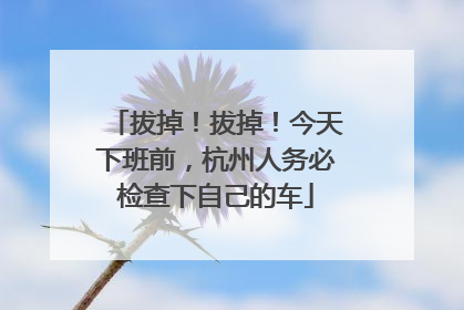 拔掉！拔掉！今天下班前，杭州人务必检查下自己的车