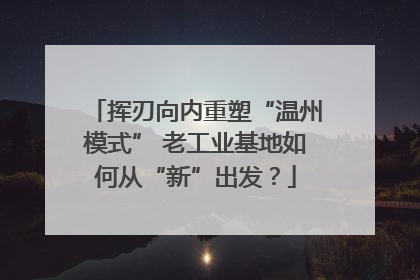 挥刃向内重塑“温州模式” 老工业基地如何从“新”出发？