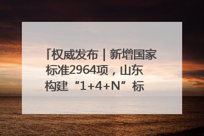 权威发布｜新增国家标准2964项，山东构建“1+4+N”标准化创新发展新格局