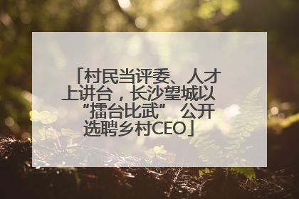 村民当评委、人才上讲台，长沙望城以“擂台比武” 公开选聘乡村CEO