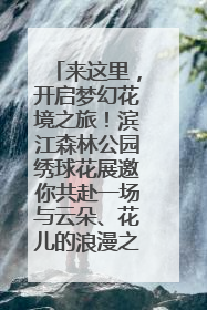 来这里，开启梦幻花境之旅！滨江森林公园绣球花展邀你共赴一场与云朵、花儿的浪漫之约