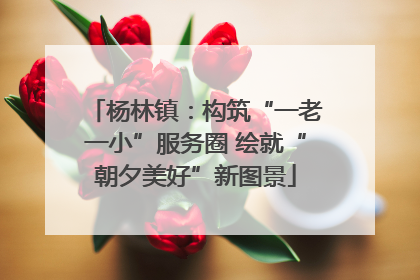 杨林镇：构筑“一老一小”服务圈 绘就“朝夕美好”新图景