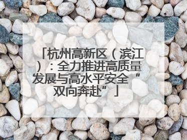 杭州高新区（滨江）：全力推进高质量发展与高水平安全“双向奔赴”