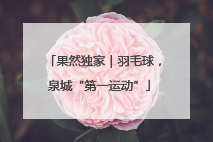 果然独家｜羽毛球，泉城“第一运动”