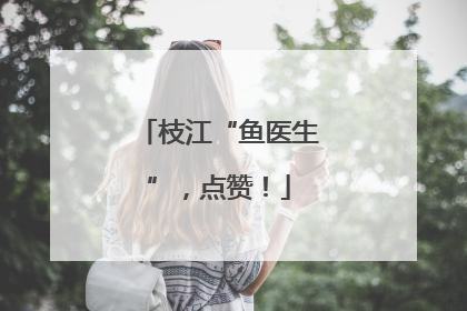 枝江“鱼医生”，点赞！