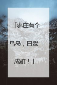 枣庄有个鸟岛，白鹭成群！