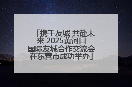 携手友城 共赴未来 2025黄河口国际友城合作交流会在东营市成功举办