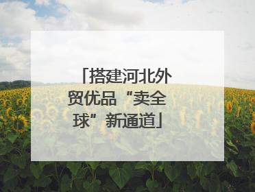 搭建河北外贸优品“卖全球”新通道