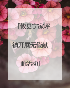攸县宁家坪镇开展无偿献血活动