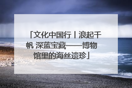 文化中国行丨浪起千帆 深蓝宝藏——博物馆里的海丝遗珍