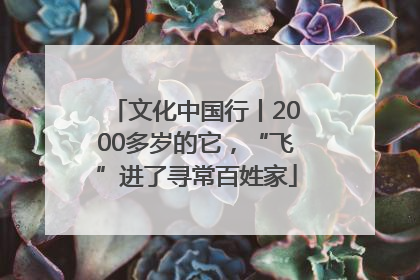 文化中国行丨2000多岁的它，“飞”进了寻常百姓家