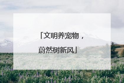 文明养宠物，蔚然树新风