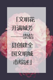 文明花开满城芳——崇信县创建全国文明城市综述