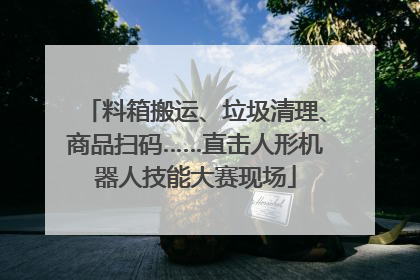 料箱搬运、垃圾清理、商品扫码……直击人形机器人技能大赛现场