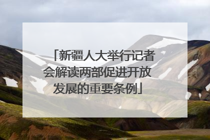 新疆人大举行记者会解读两部促进开放发展的重要条例