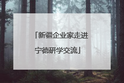 新疆企业家走进宁德研学交流