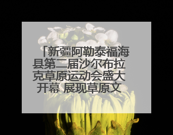 新疆阿勒泰福海县第二届沙尔布拉克草原运动会盛大开幕 展现草原文化魅力