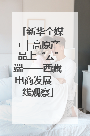 新华全媒+｜高原产品上“云”端——西藏电商发展一线观察
