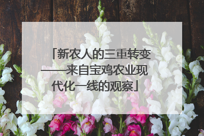 新农人的三重转变——来自宝鸡农业现代化一线的观察