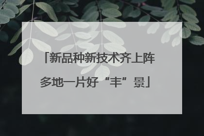 新品种新技术齐上阵 多地一片好“丰”景