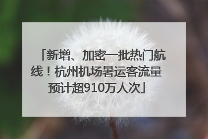 新增、加密一批热门航线！杭州机场暑运客流量预计超910万人次