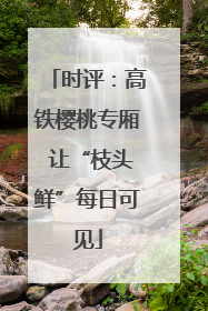 时评：高铁樱桃专厢 让“枝头鲜”每日可见