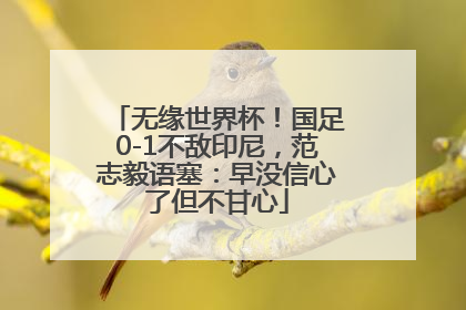 无缘世界杯！国足0-1不敌印尼，范志毅语塞：早没信心了但不甘心