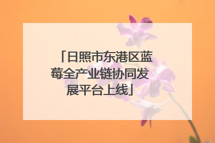 日照市东港区蓝莓全产业链协同发展平台上线