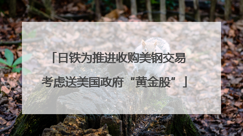 日铁为推进收购美钢交易 考虑送美国政府“黄金股”