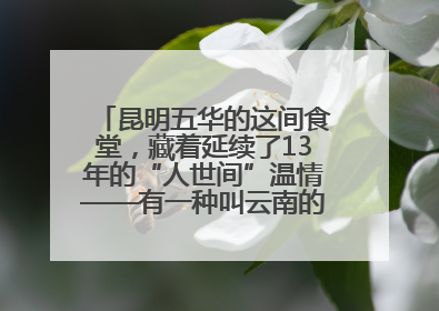 昆明五华的这间食堂，藏着延续了13年的“人世间”温情——有一种叫云南的生活之365天
