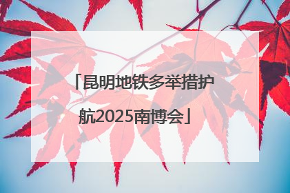 昆明地铁多举措护航2025南博会