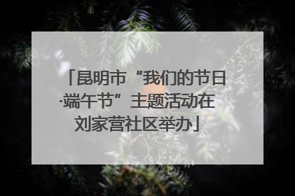 昆明市“我们的节日·端午节”主题活动在刘家营社区举办