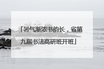 暑气渐浓书韵长，省第九届书法高研班开班