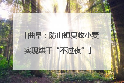 曲阜：防山镇夏收小麦实现烘干“不过夜”