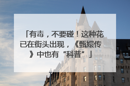 有毒，不要碰！这种花已在街头出现，《甄嬛传》中也有“科普”