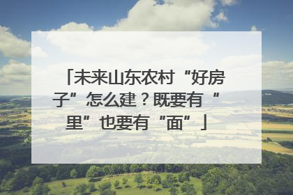 未来山东农村“好房子”怎么建？既要有“里”也要有“面”