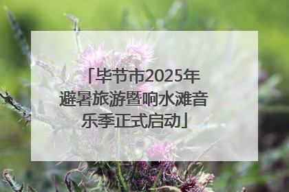 毕节市2025年避暑旅游暨响水滩音乐季正式启动