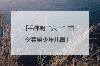 毛伟明“六一”前夕看望少年儿童