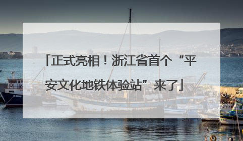 正式亮相！浙江省首个“平安文化地铁体验站”来了