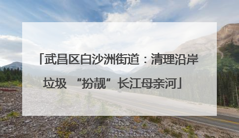 武昌区白沙洲街道：清理沿岸垃圾 “扮靓”长江母亲河