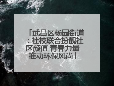 武昌区杨园街道：社校联合扮靓社区颜值 青春力量推动环保风尚
