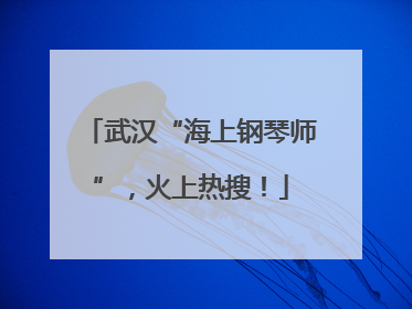 武汉“海上钢琴师”，火上热搜！