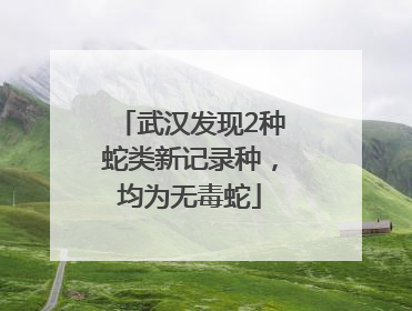 武汉发现2种蛇类新记录种，均为无毒蛇