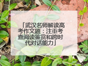 武汉名师解读高考作文题：注重考查阅读鉴赏和跨时代对话能力