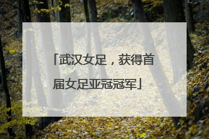 武汉女足，获得首届女足亚冠冠军