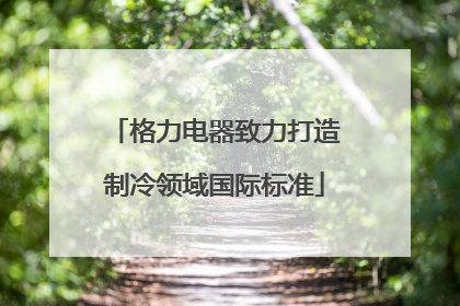 格力电器致力打造制冷领域国际标准