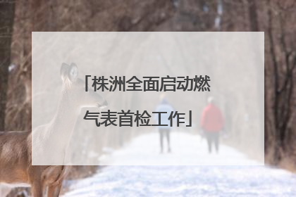 株洲全面启动燃气表首检工作