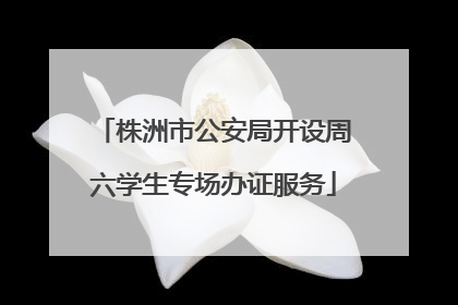 株洲市公安局开设周六学生专场办证服务