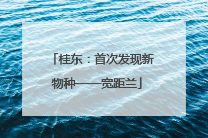 桂东：首次发现新物种——宽距兰