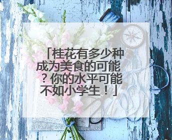 桂花有多少种成为美食的可能？你的水平可能不如小学生！